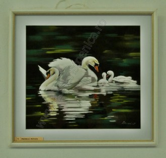 02a-tablouri-cu-pasari-primele-povete-41x41cm-pictura-adrian-stoenica