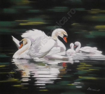 02b-tablouri-cu-pasari-primele-povete-41x41cm-pictura-adrian-stoenica